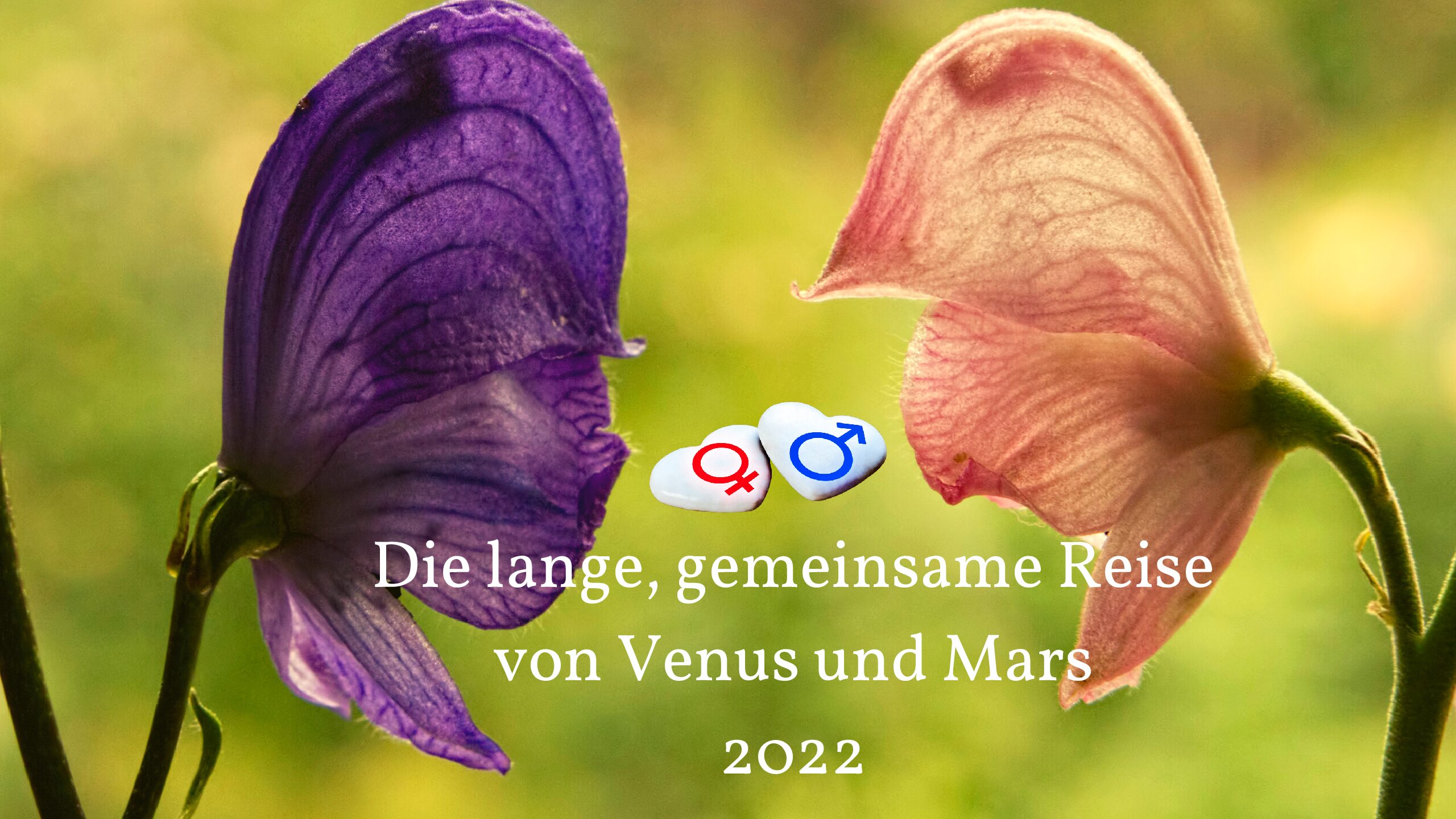 Die Venus Mars Konjunktion von 2022